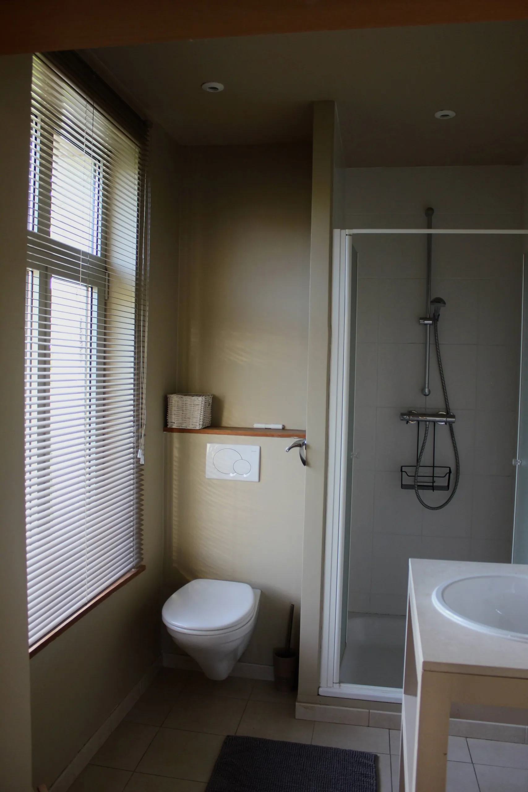 Salle de bain avec douche et toilette