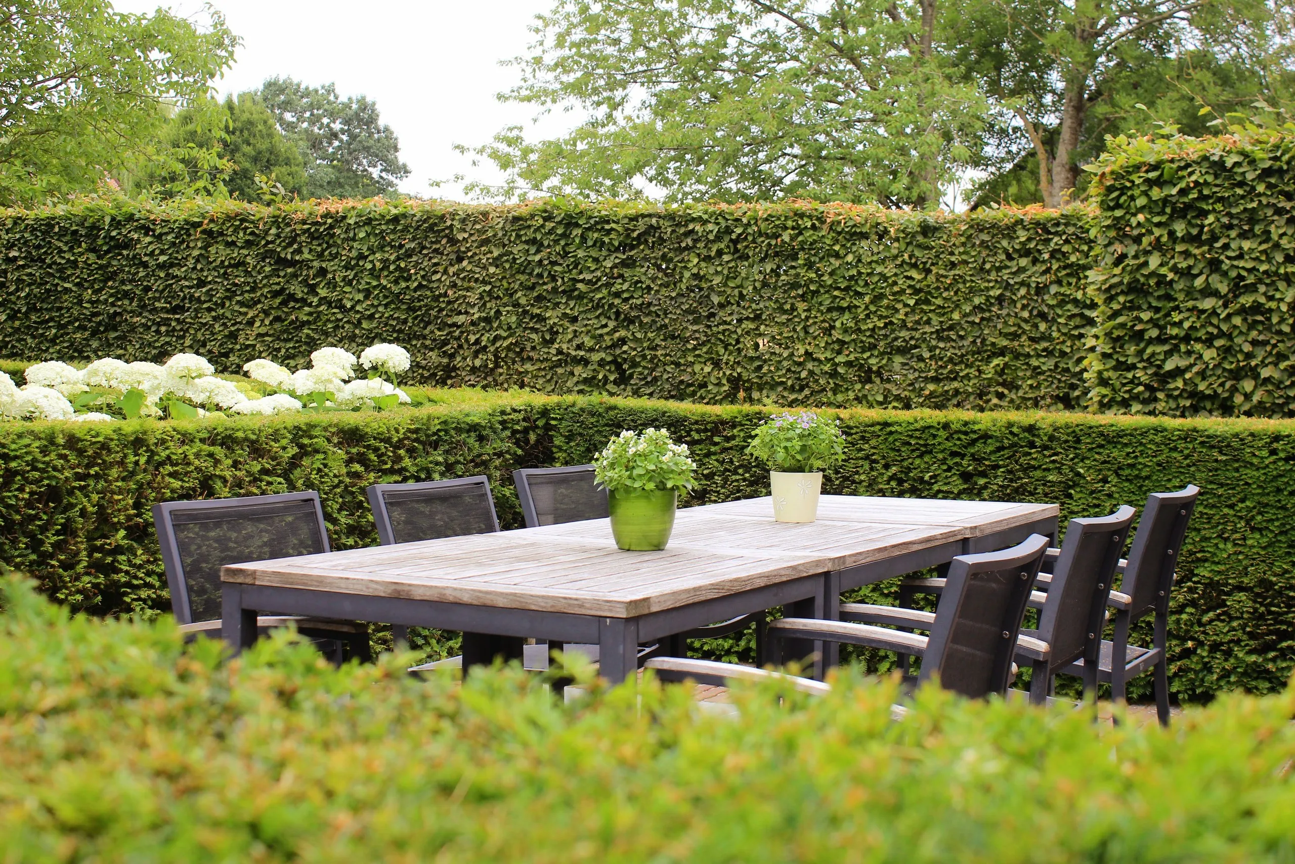 Terrasse avec grande table de jardin, entourée de haies